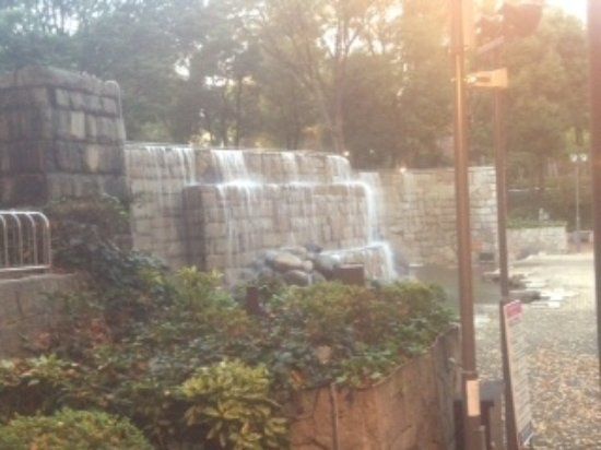 Shinjuku Niagara Falls